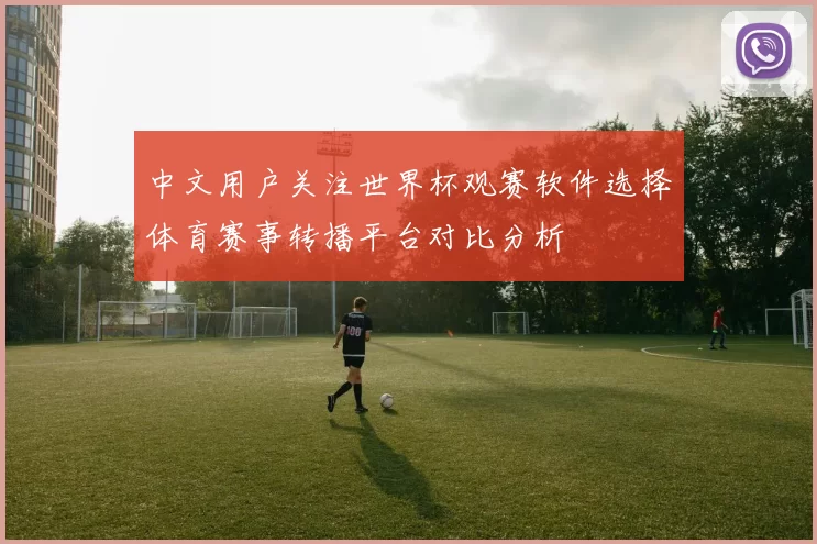 中文用户关注世界杯观赛软件选择体育赛事转播平台对比分析