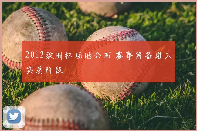2012欧洲杯场地公布 赛事筹备进入实质阶段
