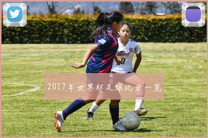2017年世界杯足球比分一览